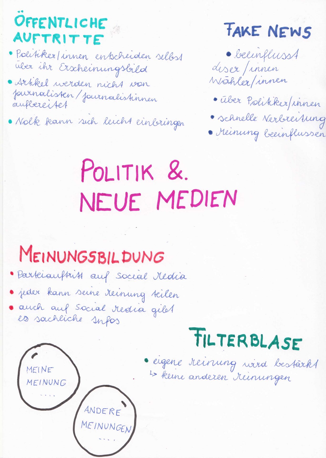 Notizen der Schüler:innen zum Thema Poltik im Netz im Rahmen der Demokratielandschaft Tirol